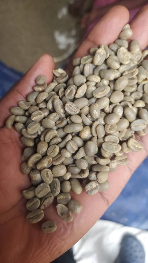 Coffee
