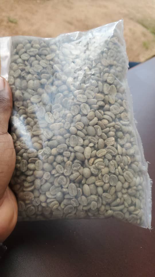 Coffee